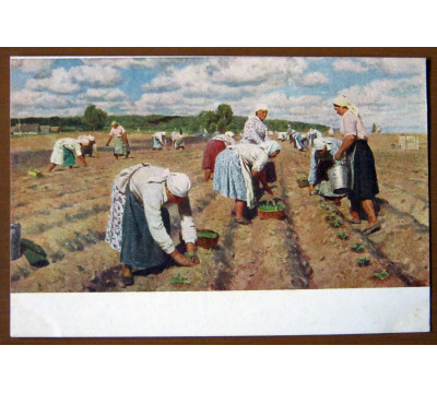 Ю. Кугач. 1952. Чистая