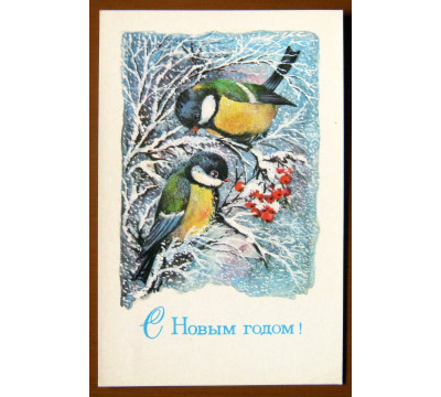 Л. Манилова. 1977. Чистая